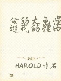 公的大龟慢慢挺进我的体内视频