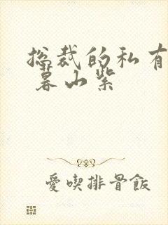 总裁的私有宝贝 暮山紫