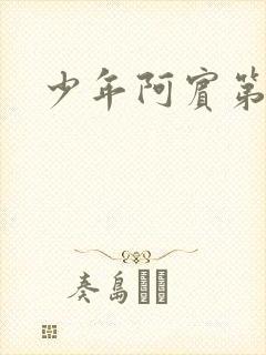 少年阿宾第二部