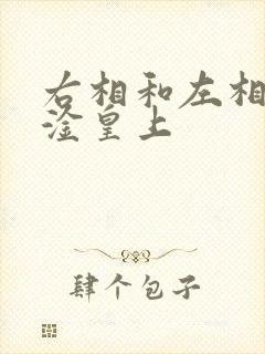 右相和左相一起淦皇上