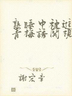 熟睡中被进了H青梅诱哄视频