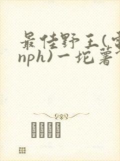 最佳野王(电竞nph)一坨薯饼