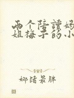 两个陪读妈妈赵姐梅子的小说