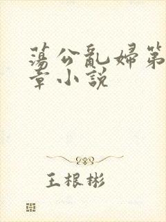 荡公乱妇第51章小说