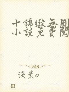 十锦缎无删原著小说免费阅读