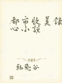 都市收美录宁素心小说