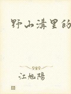 野山沟里的村庄