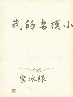 我的名模小娇妻