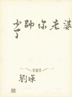 少帅你老婆又跑了