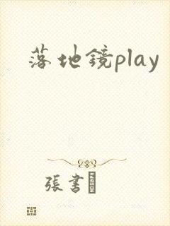 落地镜play