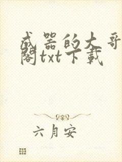 成器的大哥笔趣阁txt下载