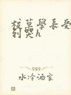 校草学长受被做到哭h