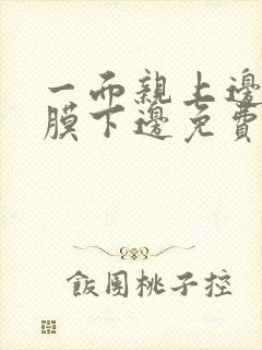 一面亲上边一面膜下边免费阅读