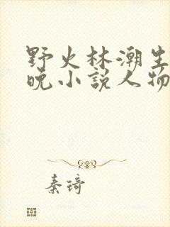 野火林潮生林晚晚小说人物野火