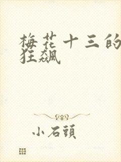 梅花十三的乳液狂飙