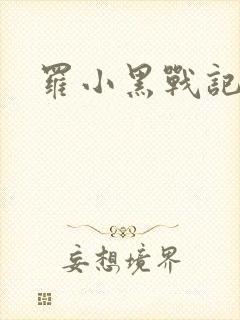 罗小黑战记小说