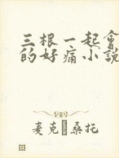 三根一起会坏掉的好痛小说
