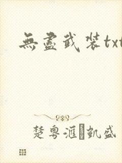 无尽武装txt