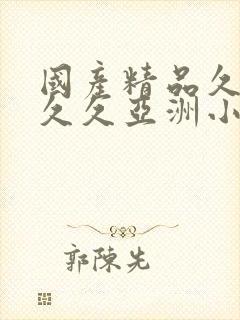 国产精品久久久久久亚洲小说