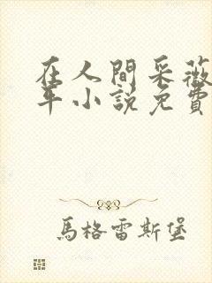 在人间采薇陆三平小说免费阅读