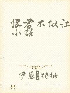 恨君不似江楼月小说