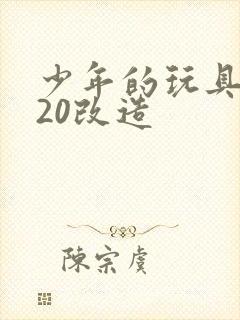 少年的玩具1一20改造