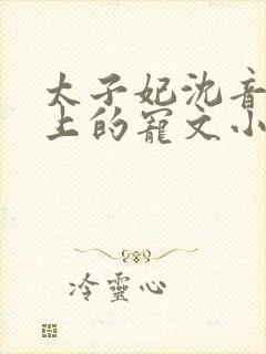 太子妃沈音和皇上的宠文小说