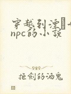 穿越到湮婸世界npc的小说