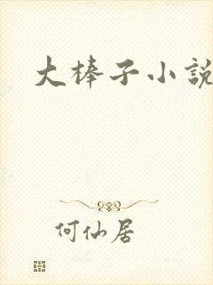 大棒子小说