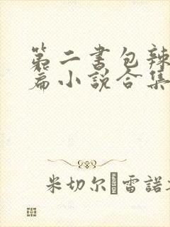 第二书包辣网短篇小说合集