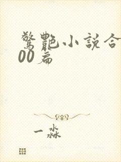 惊艳小说合集500篇