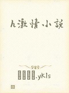 h激情小说