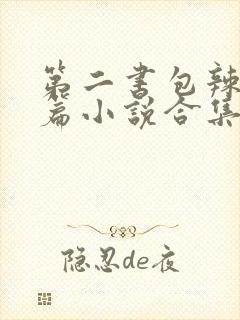 第二书包辣网短篇小说合集