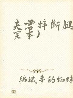 夫君摔断腿后(完本)