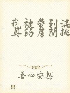 我被带到满是玩具的房间挑调游戏