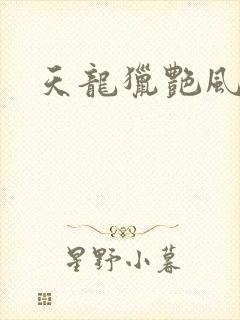 天龙猎艳风流