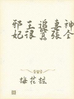 邪王追妻神医狂妃很嚣张全文免费