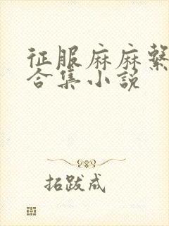 征服麻麻系列大合集小说