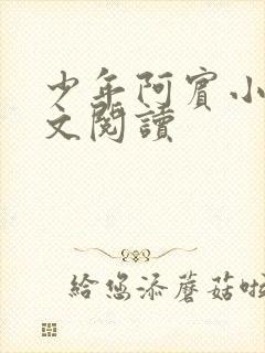 少年阿宾小说全文阅读