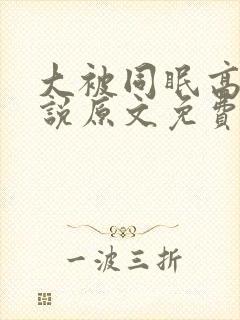 大被同眠高粱小说原文免费阅读