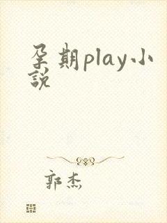孕期play小说