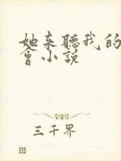 她来听我的演唱会小说