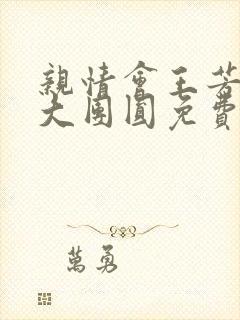 亲情会王芳高敏大团圆免费阅读