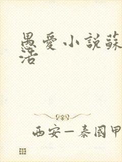 愚爱小说苏倩孙浩