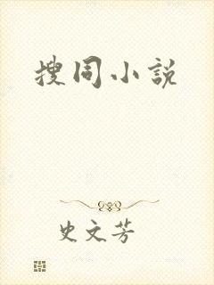 搜同小说