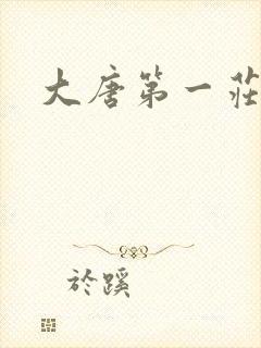 大唐第一庄