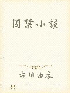 囚禁小说