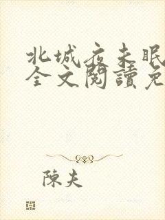 北城夜未眠小说全文阅读免费