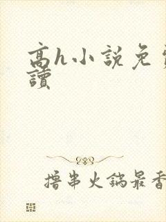 高h小说免费阅读