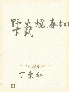 野火烧春txt下载